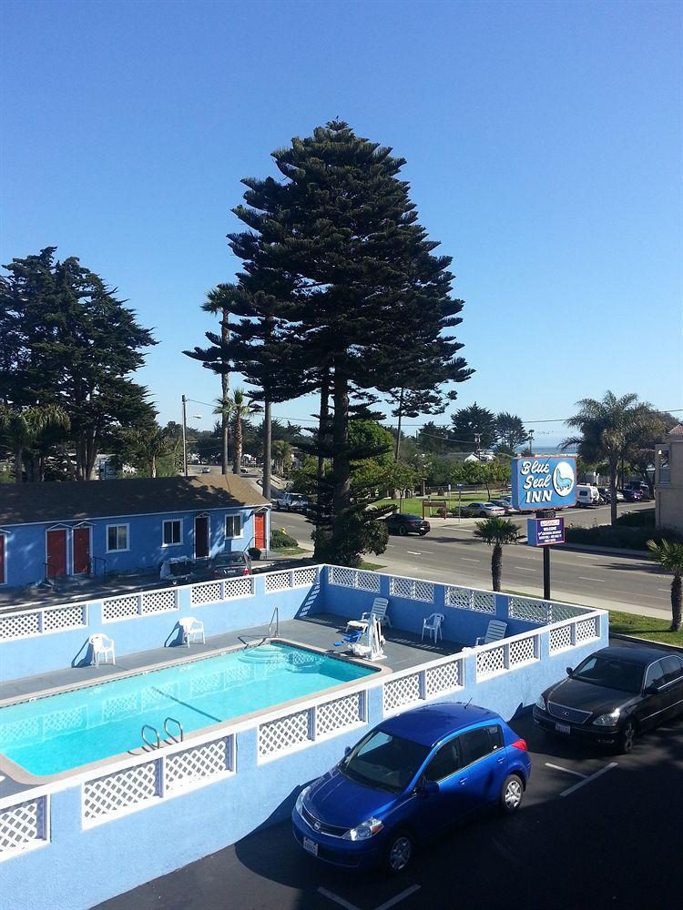 Blue Seal * Pismo Beach